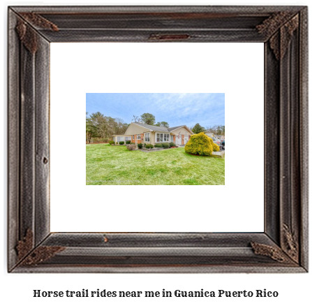 horse trail rides near me in Gunica, Puerto Rico